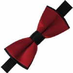 silk men bowties